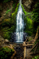 Merriman Falls, Olympic National Forest