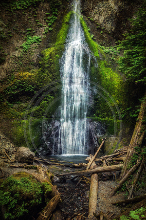 Merriman Falls, Olympic National Forest