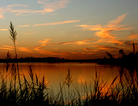 Bayous/Biloxi Bay