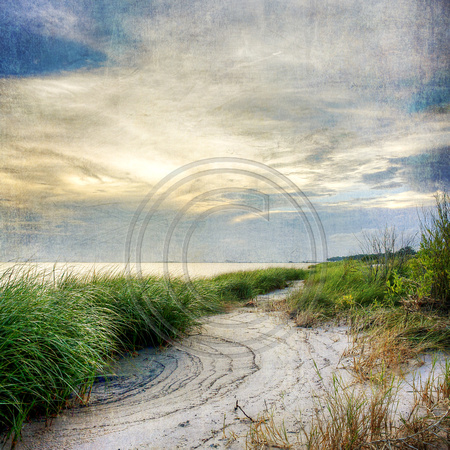 Beach path-hdr coaster