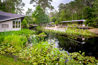 Okefenokee Swamp