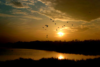 Bayous/Biloxi Bay