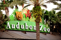 Audubon Zoo, NOLA
